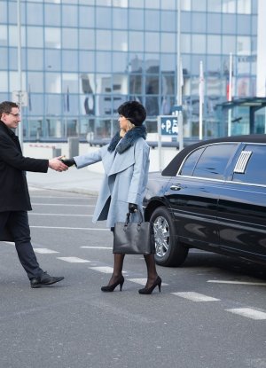 Юная богиня Риа Санн жестко ебется с VIP-персоной в лимузине фото 4