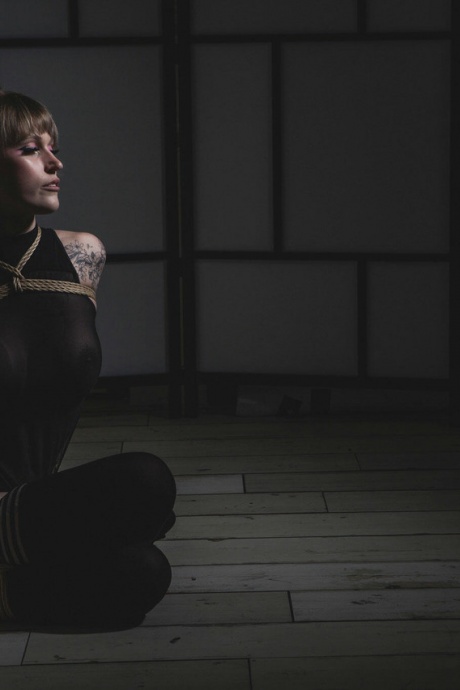 Сейза из кренделей с армбиндерблондой, Веревочный бондаж, Шибари 8