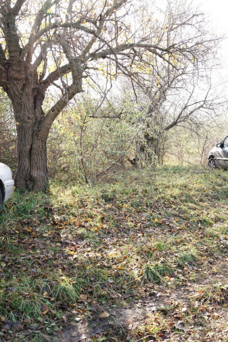 Зрелая блондинка съедает банан перед групповухой в сельской местности 7
