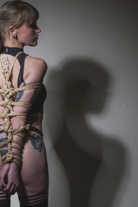 Сейза из кренделей с армбиндерблондой, Веревочный бондаж, Шибари 5