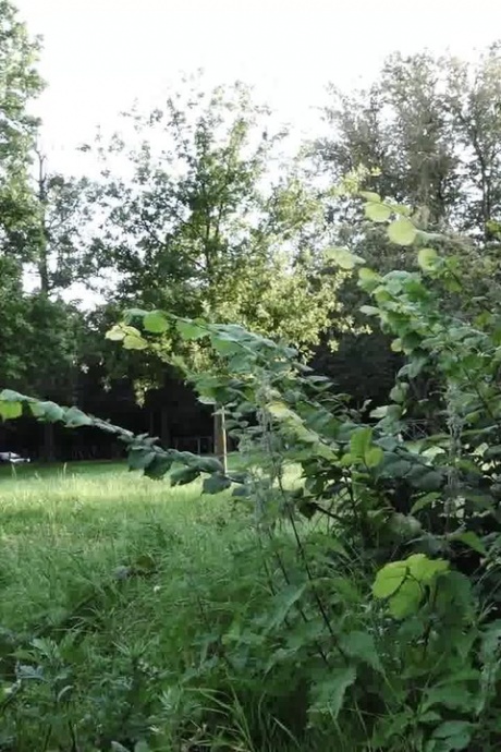 Коротко стриженная девушка Рита прячется за зданием, чтобы позарез помочиться 15