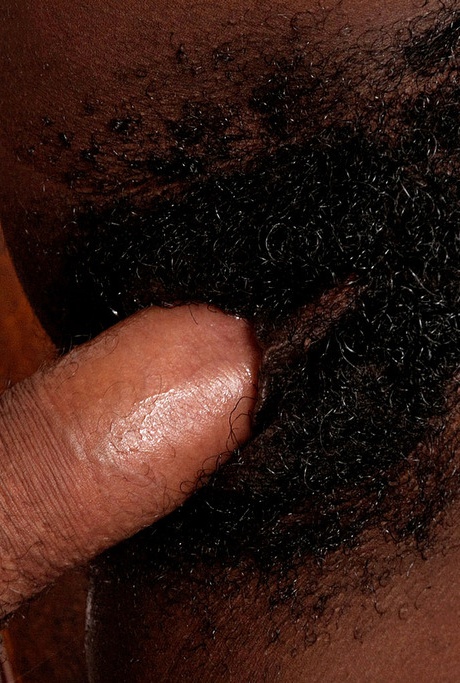 Негритянка любительница Джордан Любовник предлагает свою волосатую киску языку и члену 9