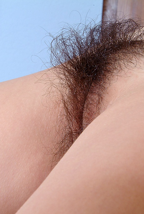 Сочные половые губки латиноамериканки Нэнси окружены ее густым волосатым кустом 12