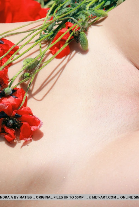 Русская блондинка Алессандра А полностью раздевается среди полевых цветов 1