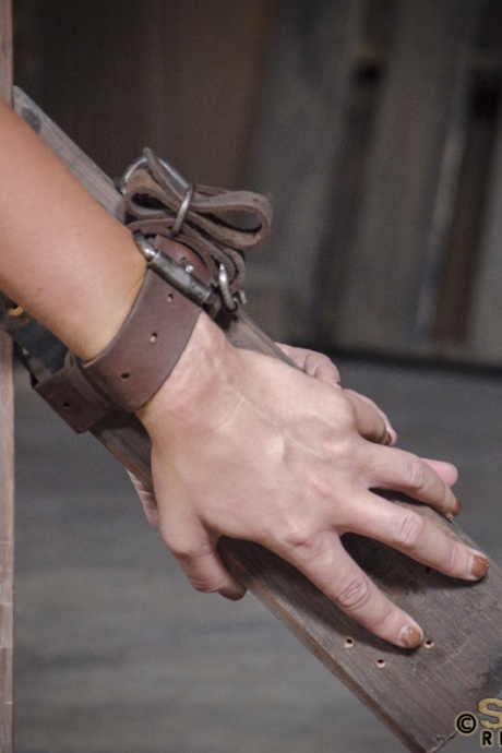 Сдержанную брюнетку Лондон Ривер заставляют сосать черный член 4